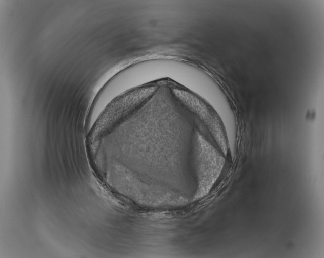 X0000114650100200911101329