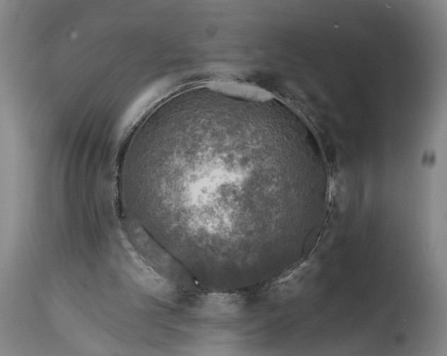 X0000114650101200911101329