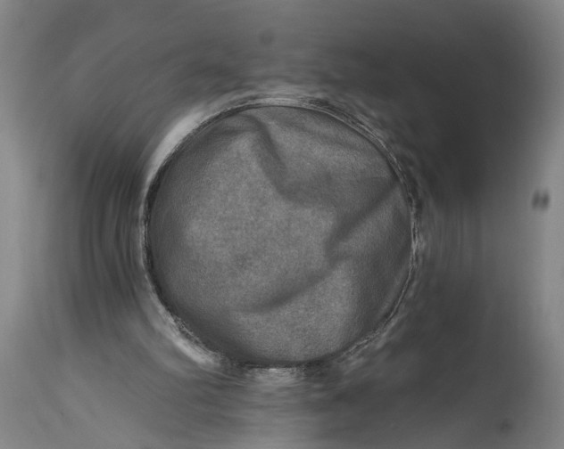 X0000114650102200911101329