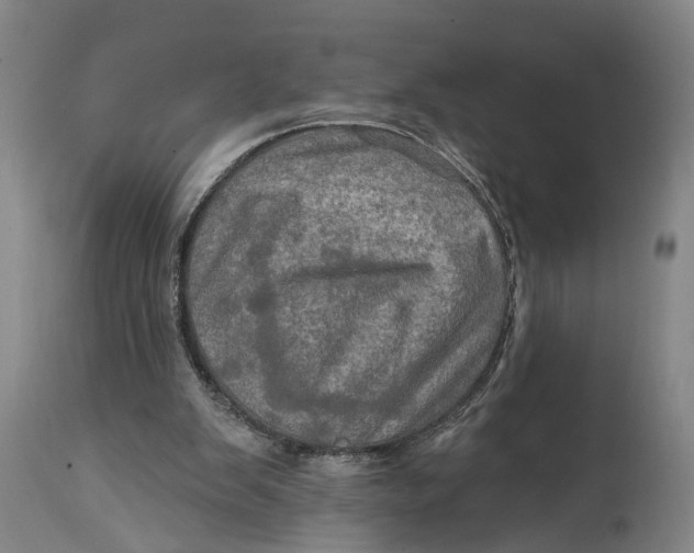 X0000114650103200911101329