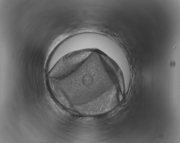 X0000114650104200911101329