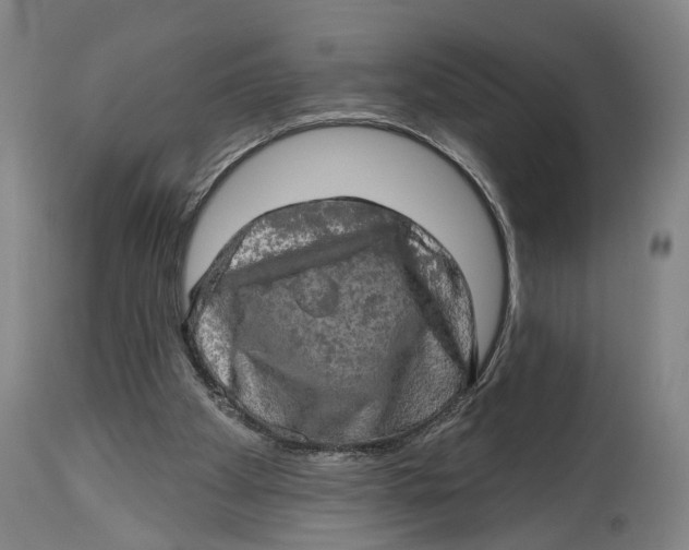 X0000114650105200911101329