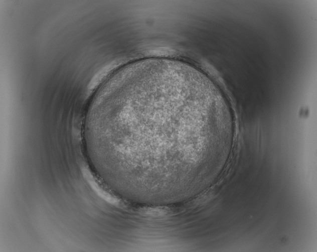 X0000114650106200911101329