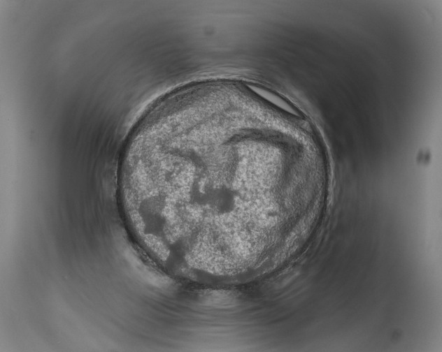 X0000114650107200911101329