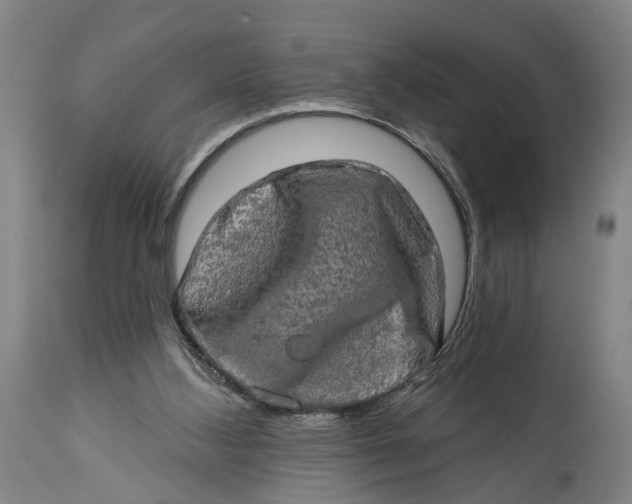 X0000114650108200911101329