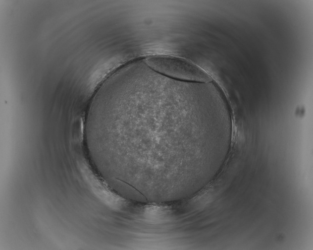 X0000114650109200911101329