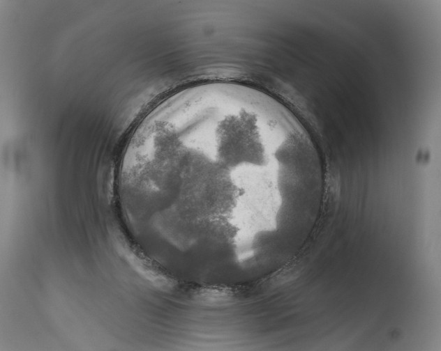 X0000114650110200911101329