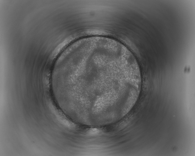 X0000114650111200911101329