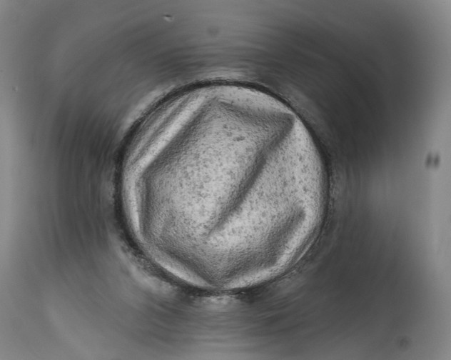 X0000114650112200911101329