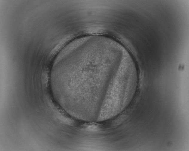 X0000114650113200911101329