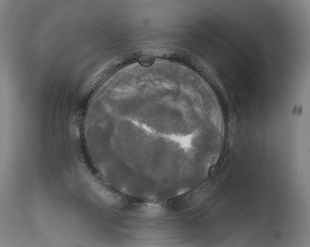 X0000114650114200911101329