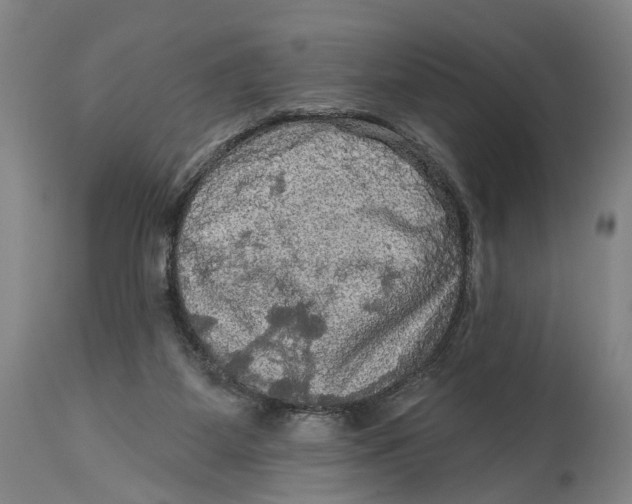 X0000114650115200911101329