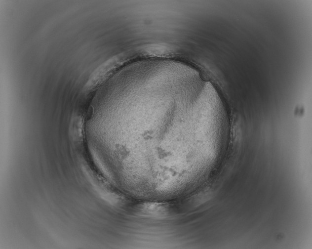 X0000114650117200911101329