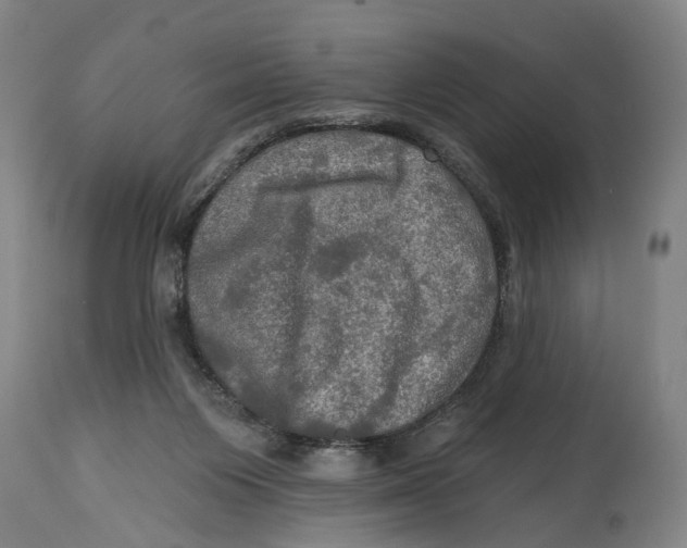 X0000114650119200911101329