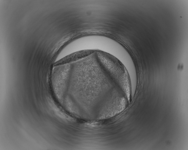 X0000114650120200911101329