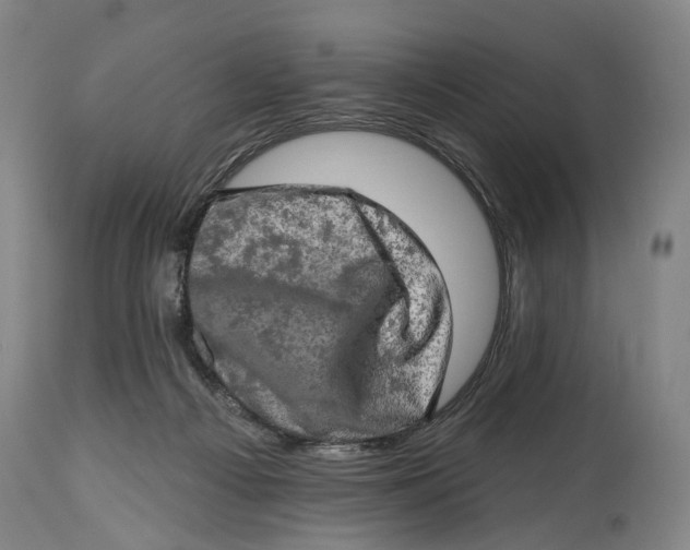 X0000114650121200911101329