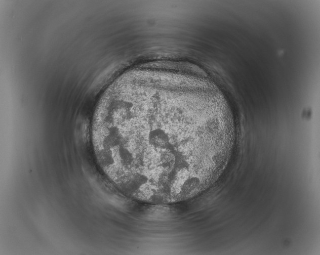 X0000114650123200911101329