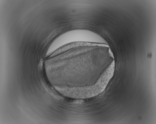 X0000114650124200911101329