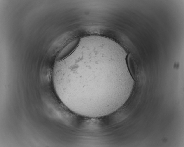 X0000114650125200911101329