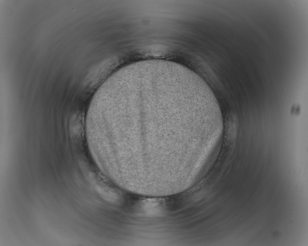 X0000114650126200911101329