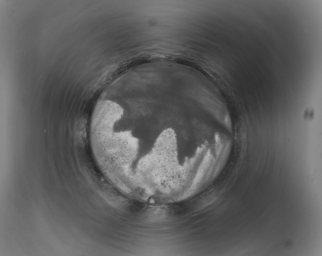 X0000114650127200911101329