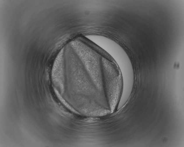 X0000114650128200911101329