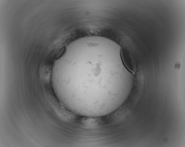 X0000114650129200911101329