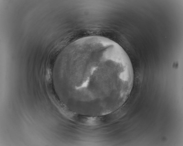 X0000114650130200911101329