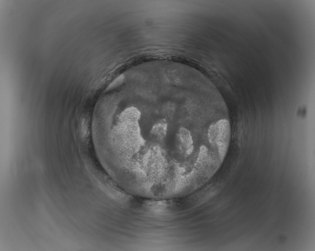 X0000114650131200911101329