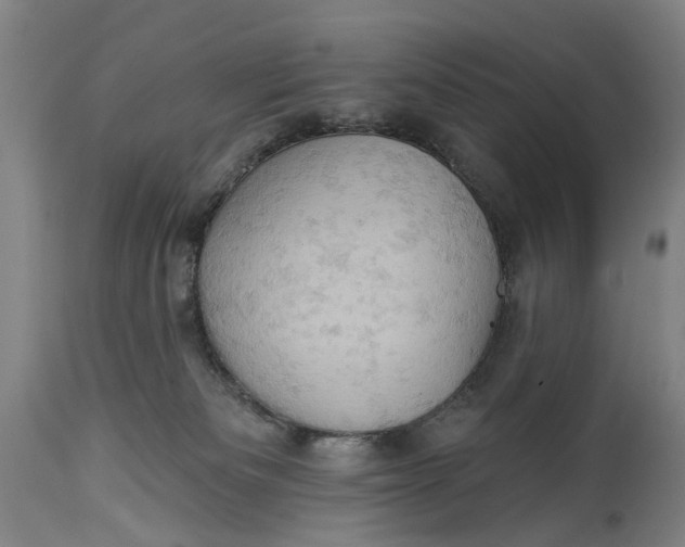 X0000114650133200911101329