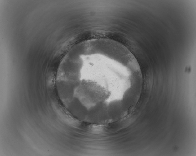 X0000114650134200911101329