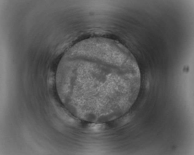 X0000114650135200911101329