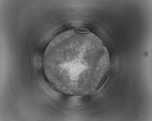 X0000114650136200911101329