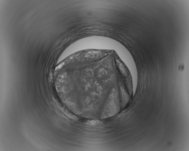 X0000114650137200911101329