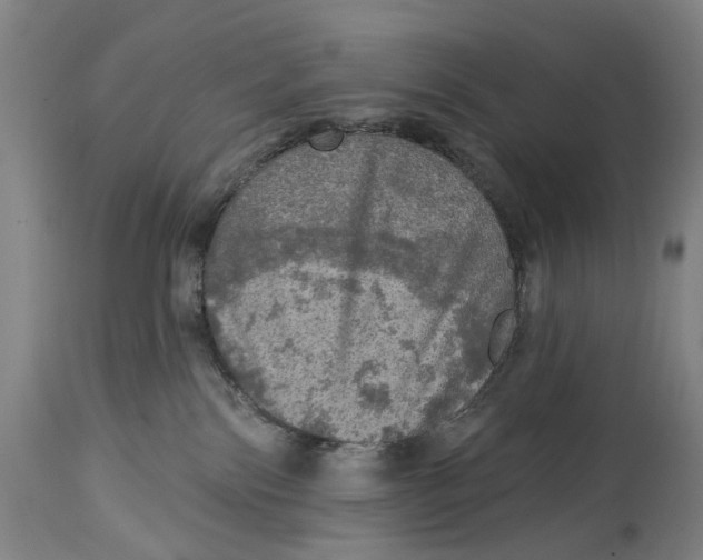 X0000114650138200911101329