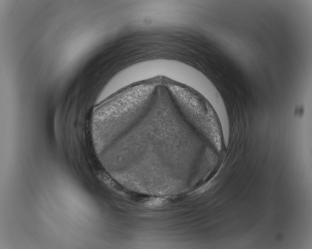 X0000114650140200911101329