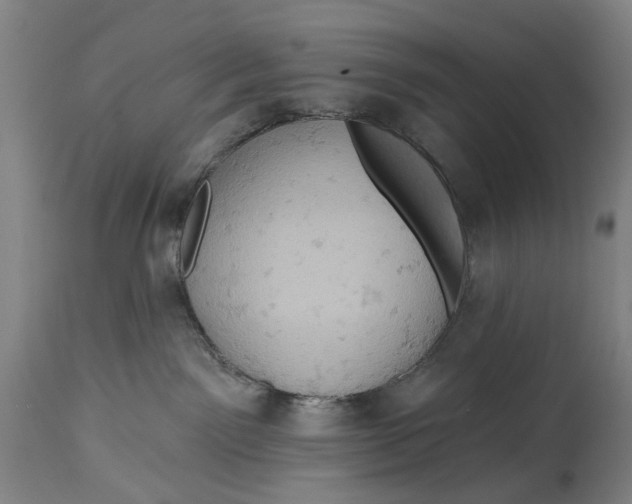 X0000114650141200911101329