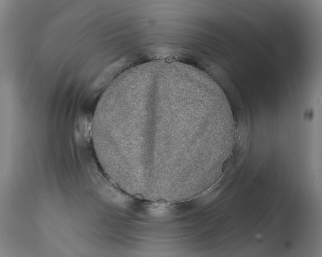 X0000114650142200911101329