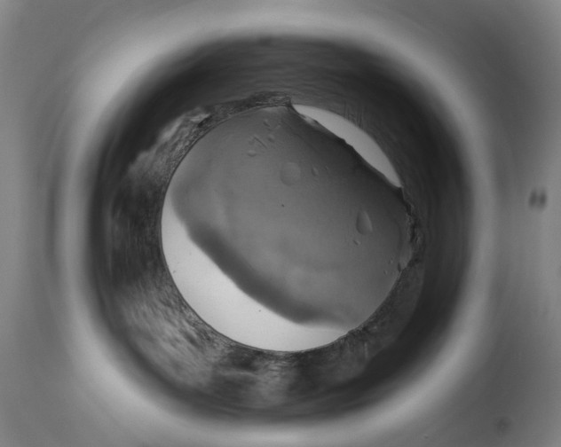 X0000114650143200911101329