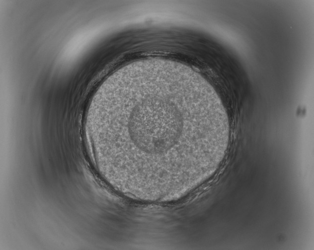 X0000114650146200911101328