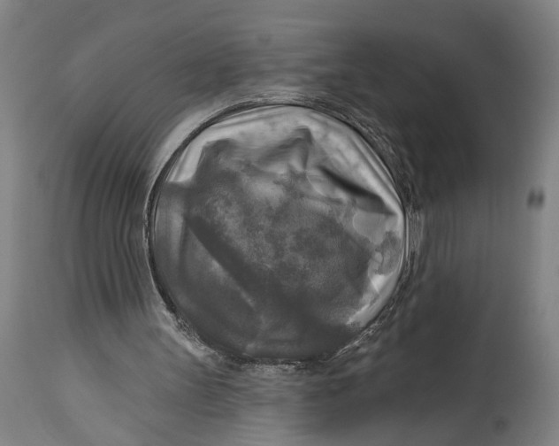 X0000114650147200911101328