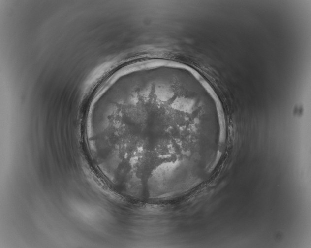 X0000114650149200911101328