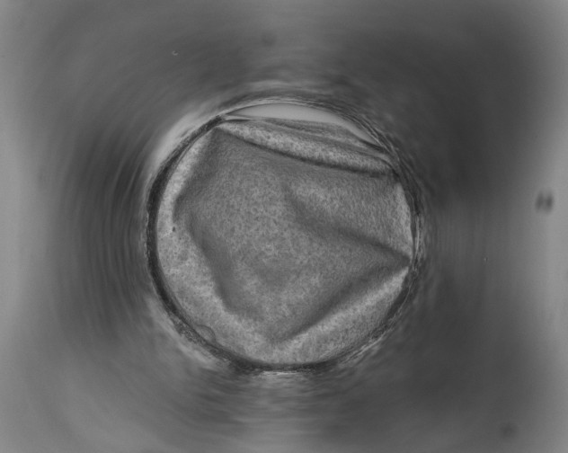 X0000114650150200911101328