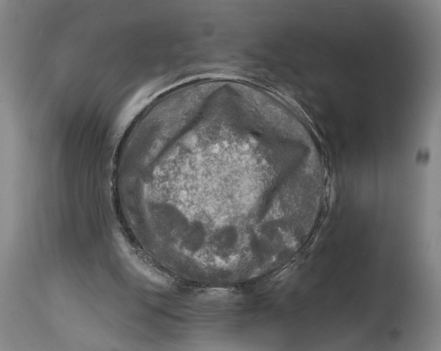 X0000114650151200911101328