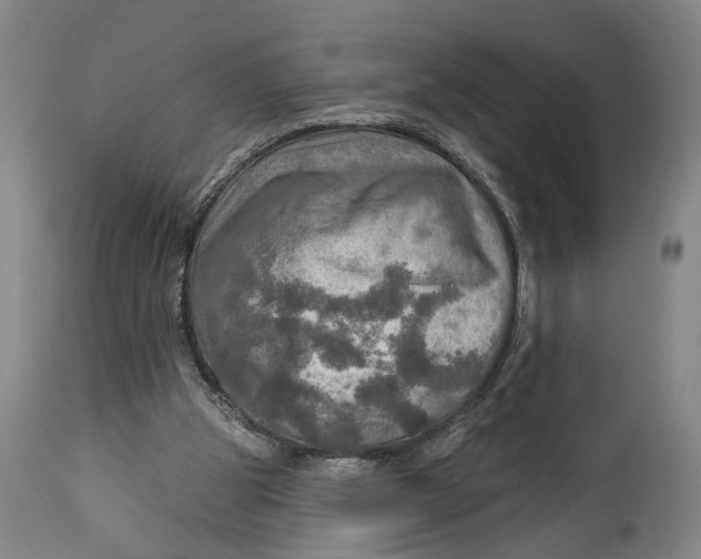 X0000114650153200911101328