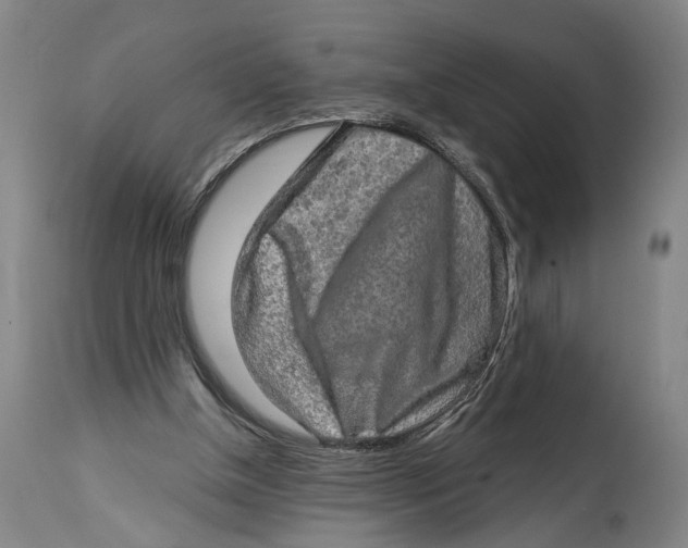 X0000114650154200911101328