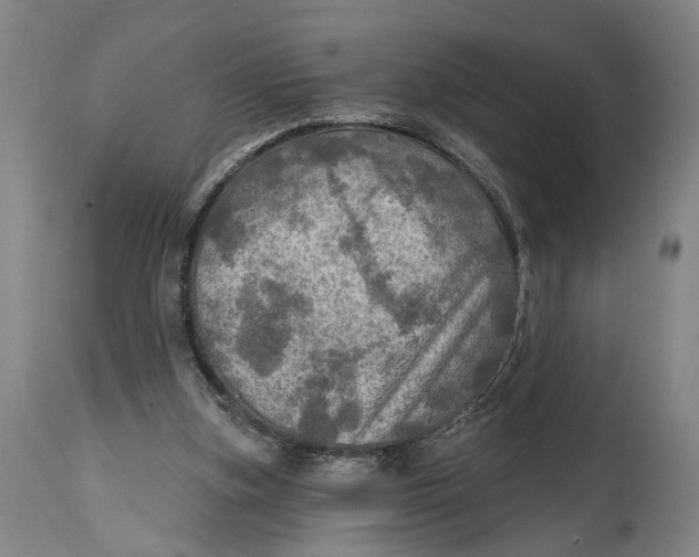 X0000114650155200911101328