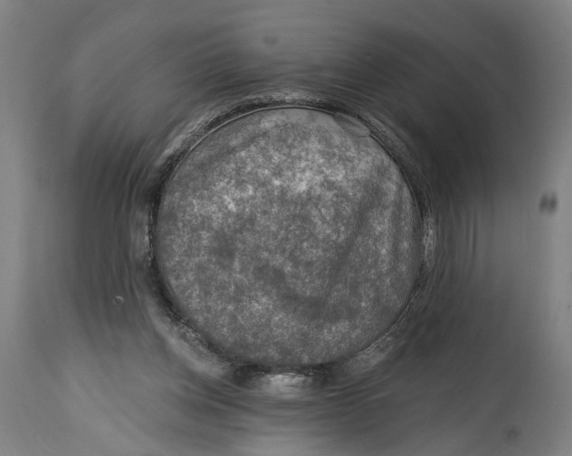 X0000114650158200911101328