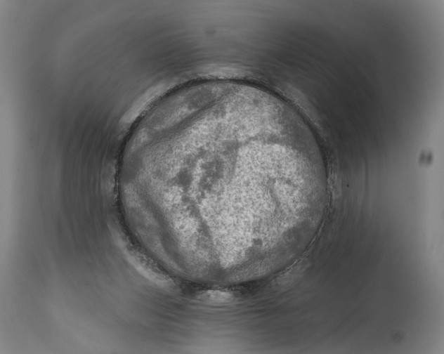 X0000114650159200911101328