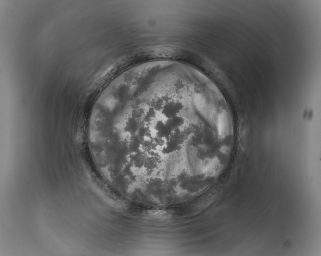 X0000114650161200911101328